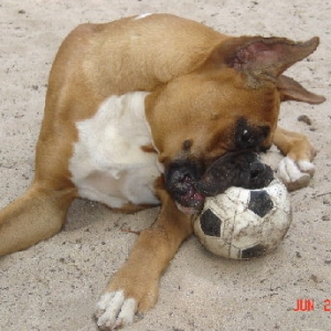 oop's there goes another ball!