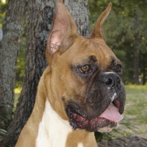 Reno at 7 months