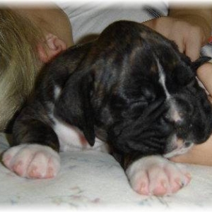 Tessi at 4 weeks