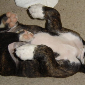 Tessi just waking up at 6 weeks