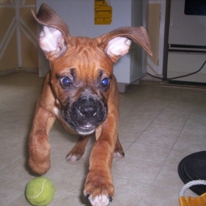 after_first_bath