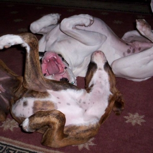 Playing on their backs!