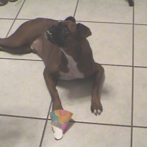 Bash's 1st birthday!