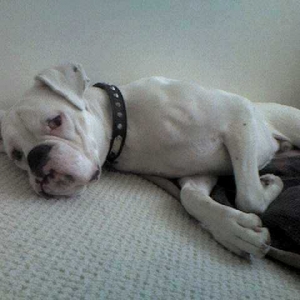 Leave me alone.... please!