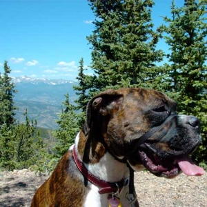 Rossi hiking
