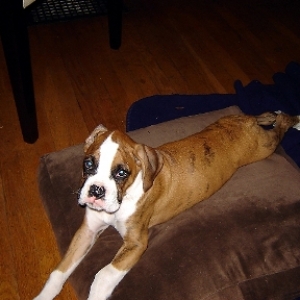 Jake11wks
