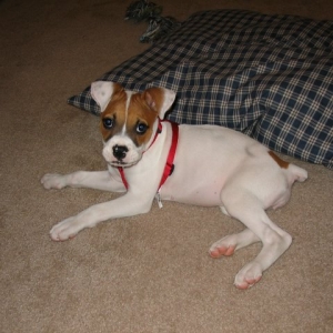 Teagan