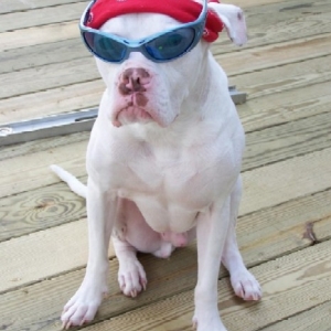 I'm da man!