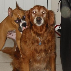 Mattie and Chewy
