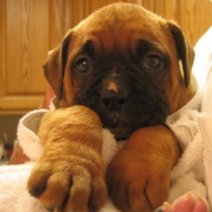 1st night, 1st bath