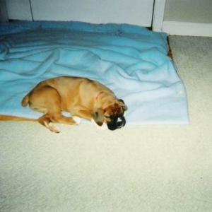 Deuce 8 wks