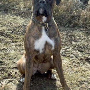 sadie3