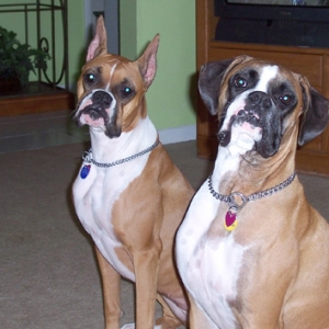 My little posers!