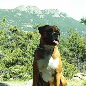 Rocky Mountain High