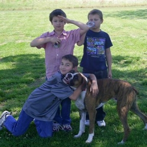 All the puppys together