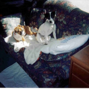 Boss_Tray_Couch