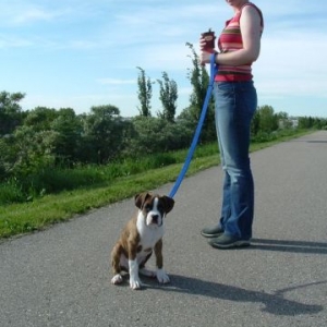 First Time At The Dog Park