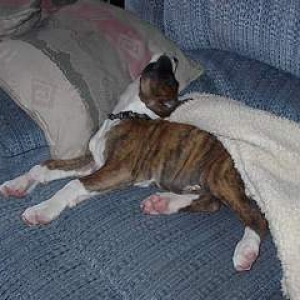 How can this possibly be comfortable?