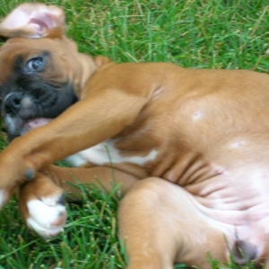 Maddie in the Grass!