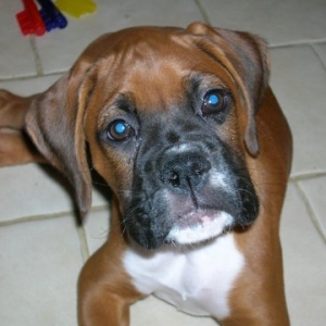 9 Weeks