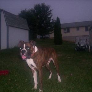 Tigger, the first night home!!