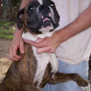 Tigger at his old home!!