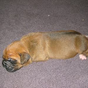 Friday at 11 days