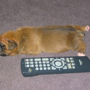 Friday at 11 days