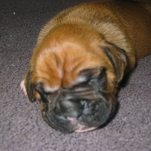 Friday at 11 days