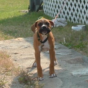 Cody @ Beach House