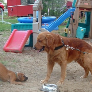 Cody and his cousin LOL