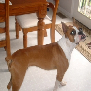 Brutus being a pretty boy