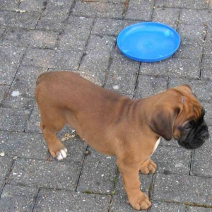 car_park_lola