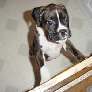 Little guy