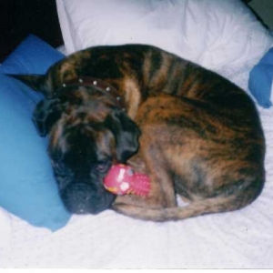 my bed now