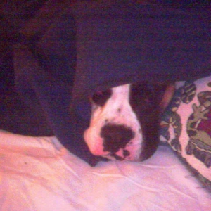 peekaboo