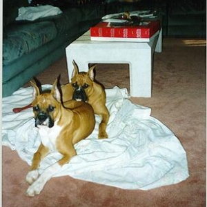 Mookie & Chance