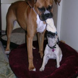 Tug of War
