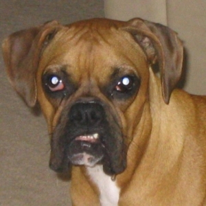 that face