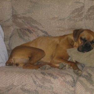 sleep