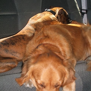 Jade and Auntie Gretchen on the way to the lake!
