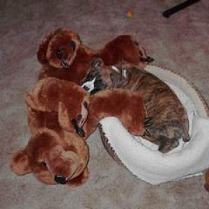 I love my bear!