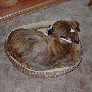 I don't think you fit!