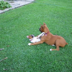 Bella and Barbie playing