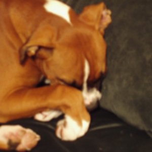 Sweet baby