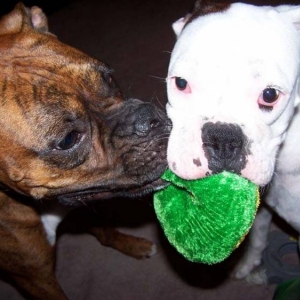 Gus and Maggie With Toy