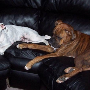 Gus and Maggie are a little sleepy after a day of adventures!