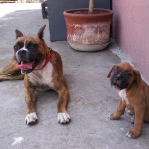 TINA AND TINO KICKING BACK..