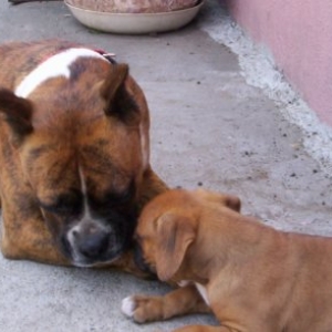 TINA TAKING CARE OF HIS NEW FRIEND TINO