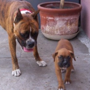 HEY LITTLE GUY WAIT FOR ME..